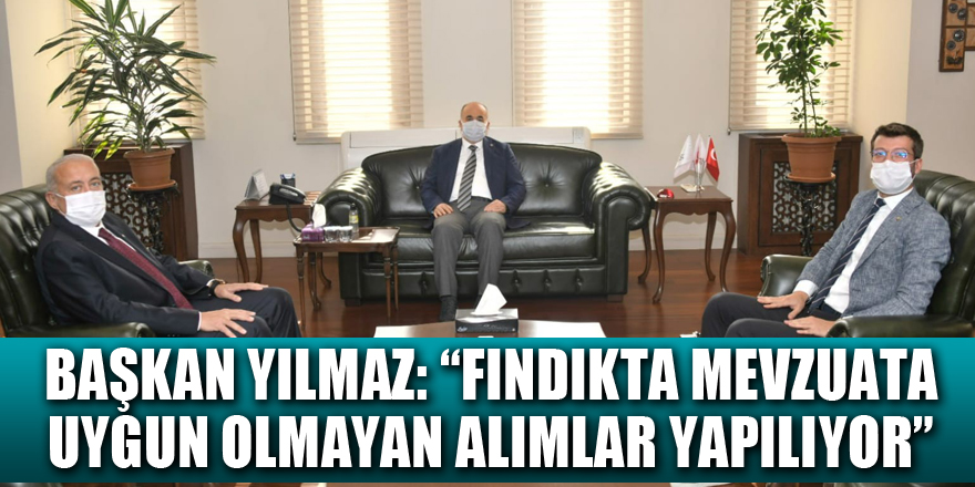 Başkan Yılmaz: “Fındıkta mevzuata uygun olmayan alımlar yapılıyor”