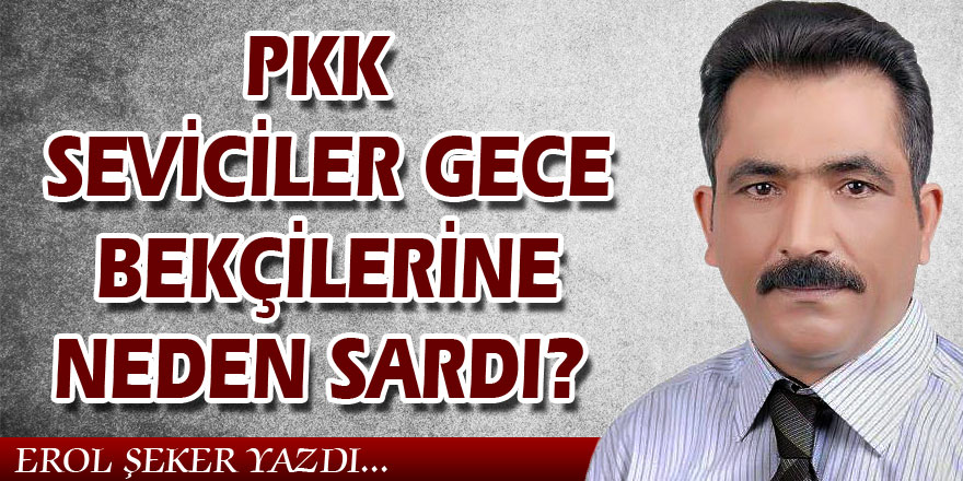 PKK SEVİCİLER GECE BEKÇİLERİNE NEDEN SARDI?