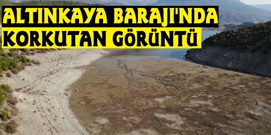 Altınkaya Barajı'nda korkutan görüntü