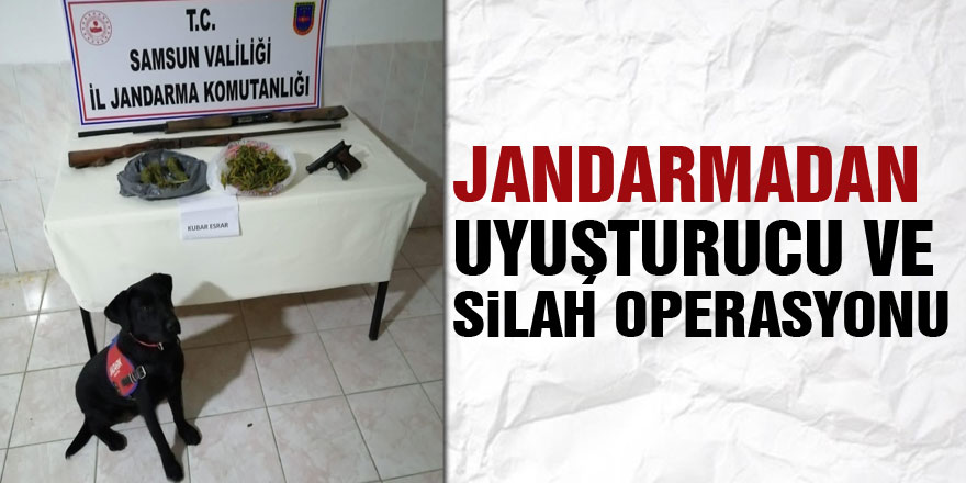 Jandarmadan uyuşturucu ve silah operasyonu