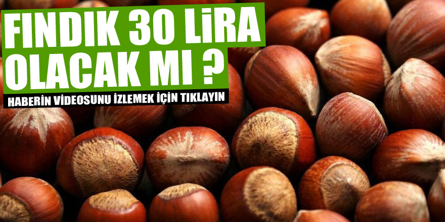 FINDIK 30 LİRA OLACAK MI?