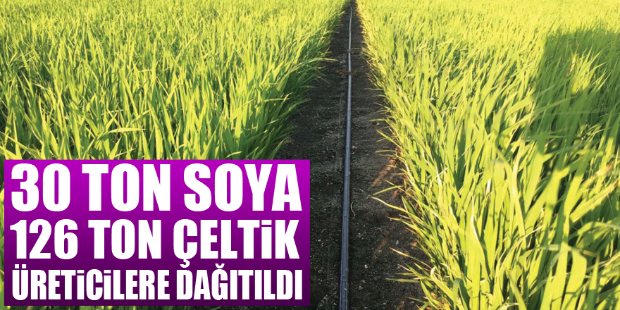 Samsun'da 30 ton soya ve 126 ton çeltik tohumu üreticilere dağıtıldı