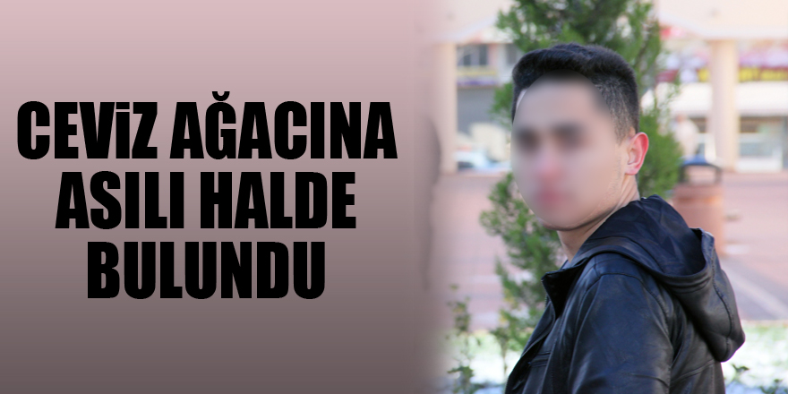 Ceviz ağacına asılı halde bulundu