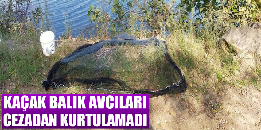 Kaçak balık avcıları cezadan kurtulamadı