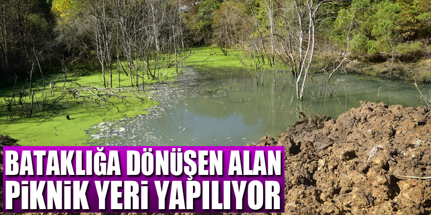 OMÜ’de bataklığa dönüşen alan piknik yeri yapılıyor