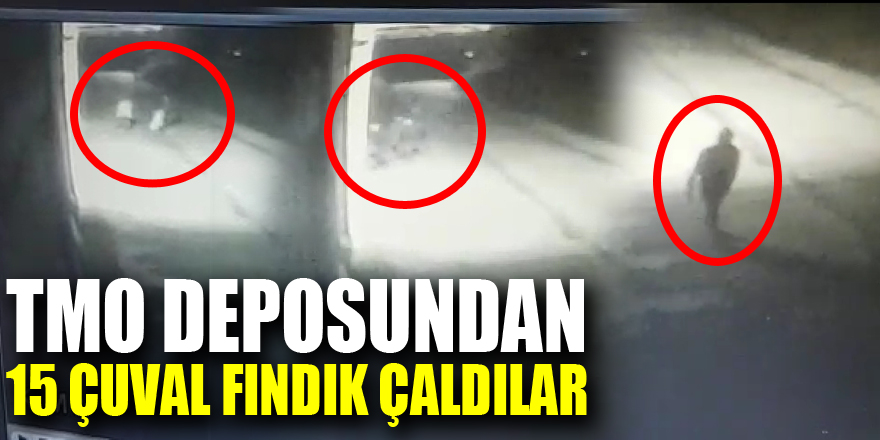 TMO deposundan 15 Çuval Fındık çaldılar