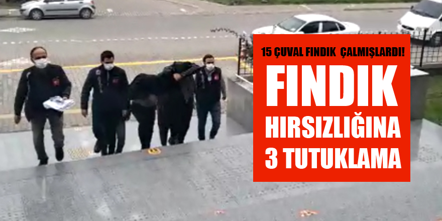 Fındık hırsızlığına 3 tutuklama