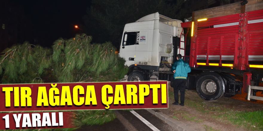 Samsun’da tır ağaca çarptı: 1 yaralı