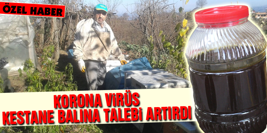 Korona virüs kestane balına talebi artırdı