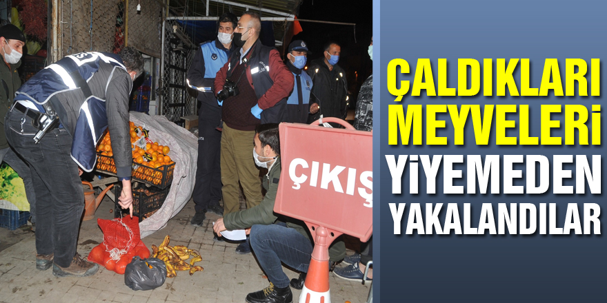 Çaldıkları meyveleri yiyemeden yakalandılar