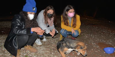 Ormana terk edilen sokak köpeklerini beslemek için kilometrelerce yol gidiyorlar