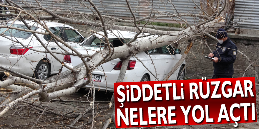 Samsun'da şiddetli rüzgarda kırılan ağaç otomobilin üzerine düştü