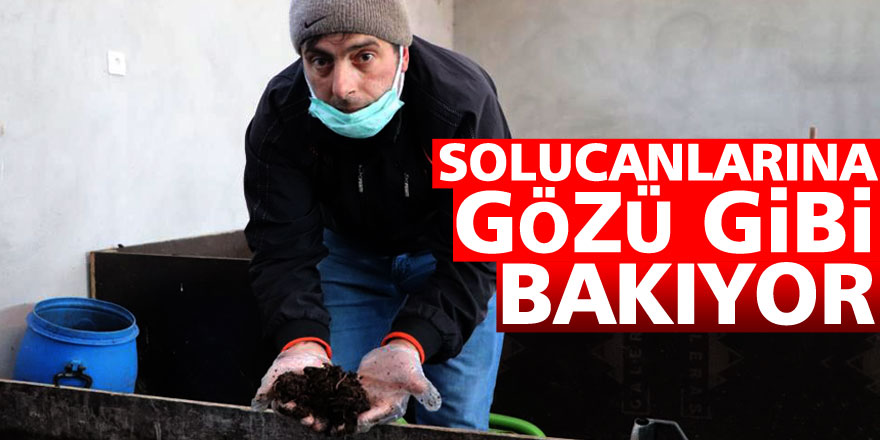  Solucanlarına gözü gibi bakıyor  