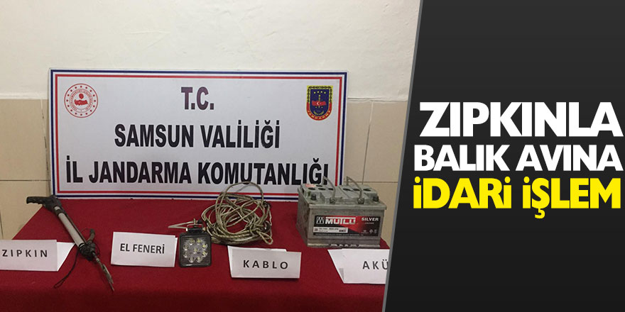 Zıpkınla balık avına idari işlem 