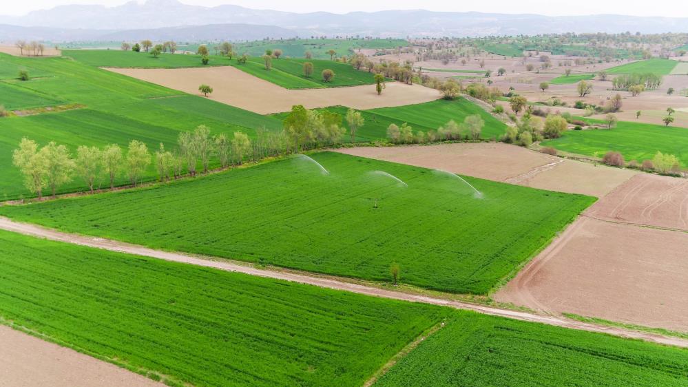 Ekonomiye yıllık 108 milyon TL katkı