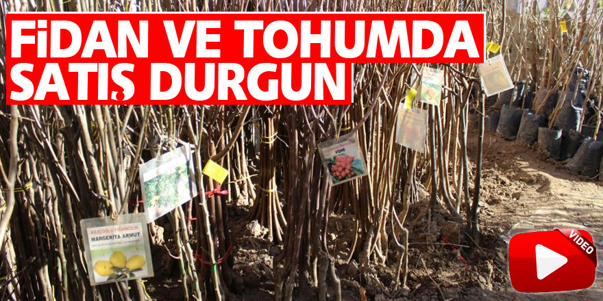 Fidan ve tohumda satış durgun