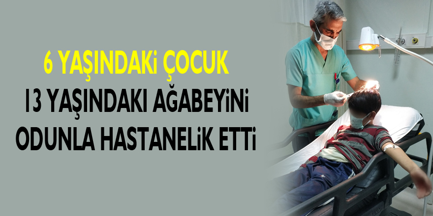 6 yaşındaki çocuk 13 yaşındaki ağabeyini odunla hastanelik etti