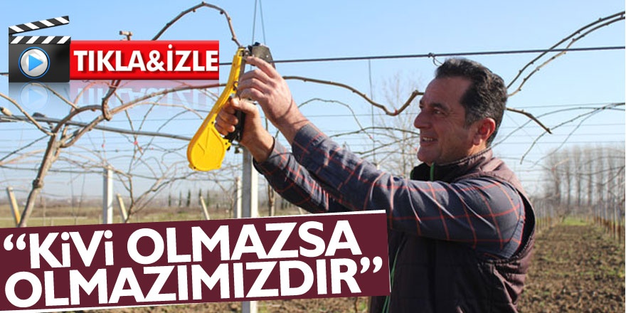 “Kivi olmazsa olmazımızdır”