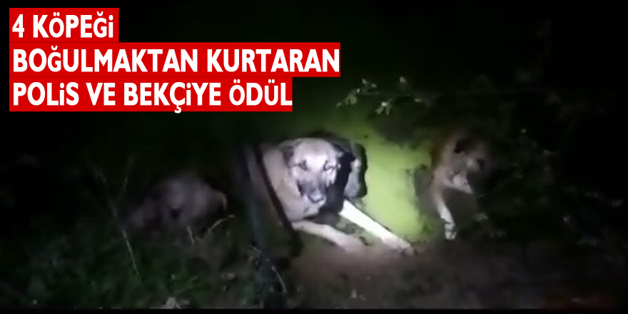 4 köpeği boğulmaktan kurtaran polis ve bekçiye ödül