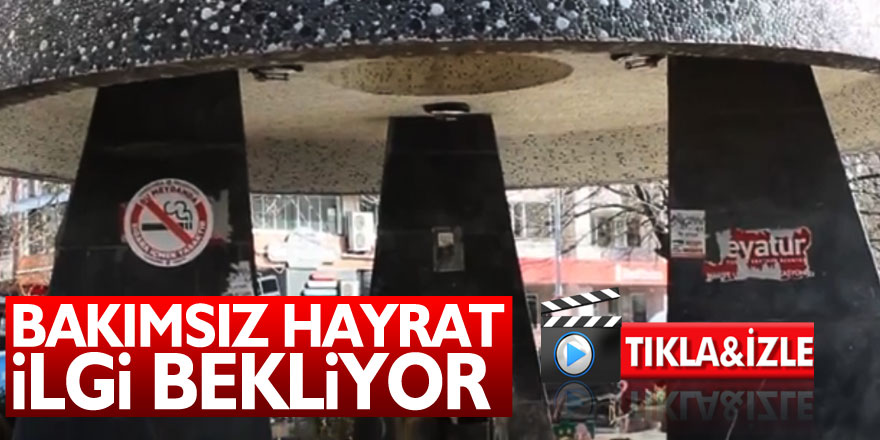 BAKIMSIZ HAYRAT İLGİ BEKLİYOR