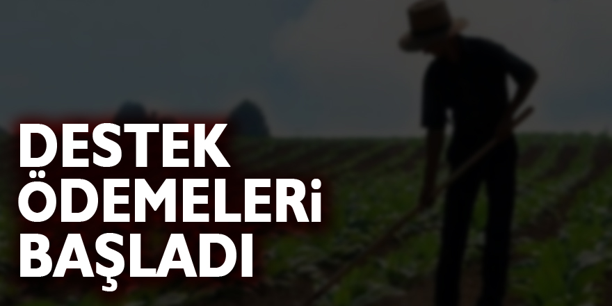 Destek ödemeleri başladı