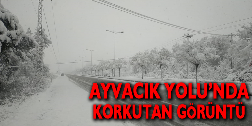 Ayvacık Yolu’nda Korkutan Görüntü!