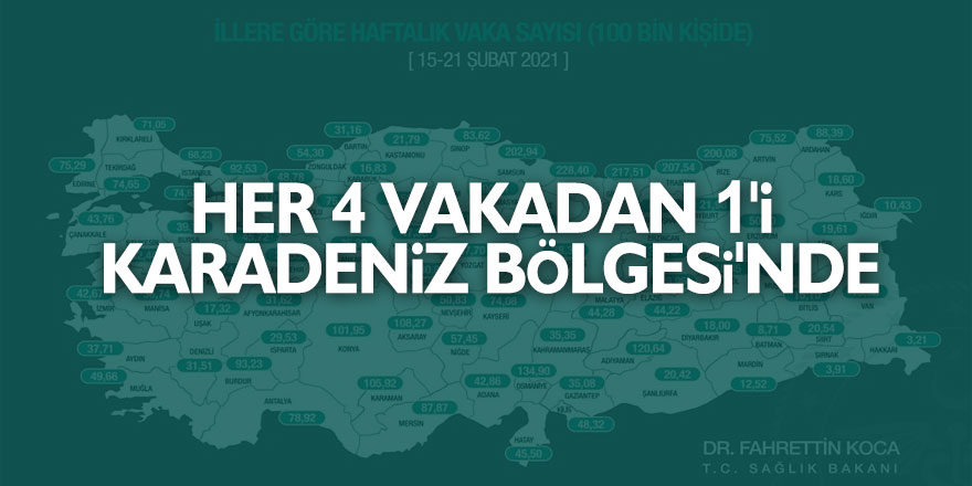 Türkiye'de her 4 vakadan 1'i Karadeniz Bölgesi'nde