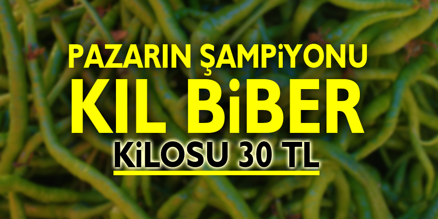 Pazarın şampiyonu kıl biber: Kilosu 30 TL