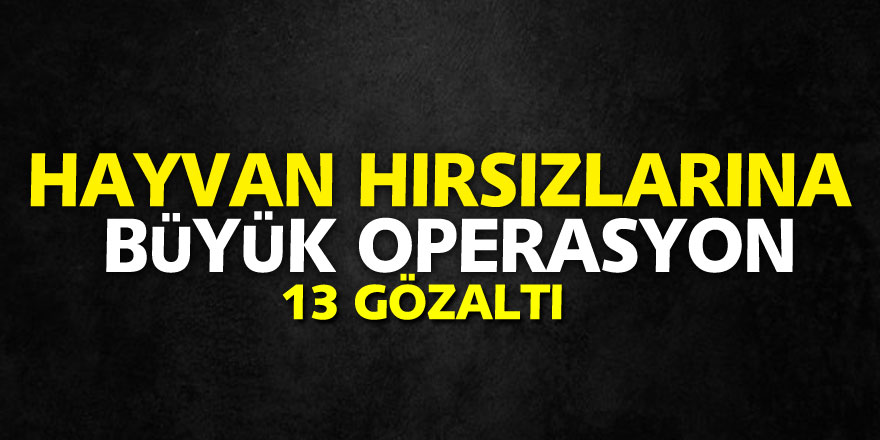 Karadeniz'de hayvan hırsızlarına büyük operasyon: 13 gözaltı