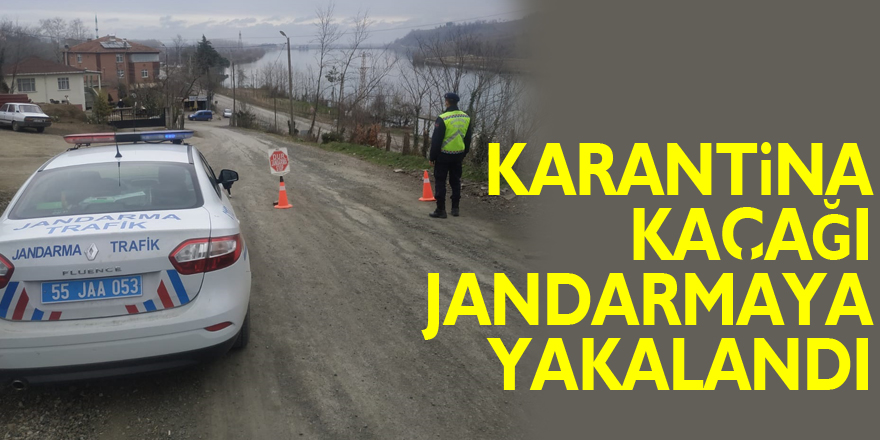 Karantina kaçağı jandarmaya yakalandı