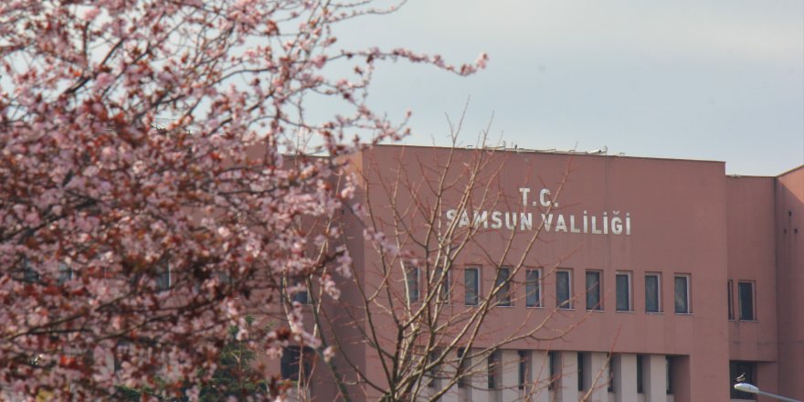 Samsun'da ilkbahar: Tabiat şenlendi 