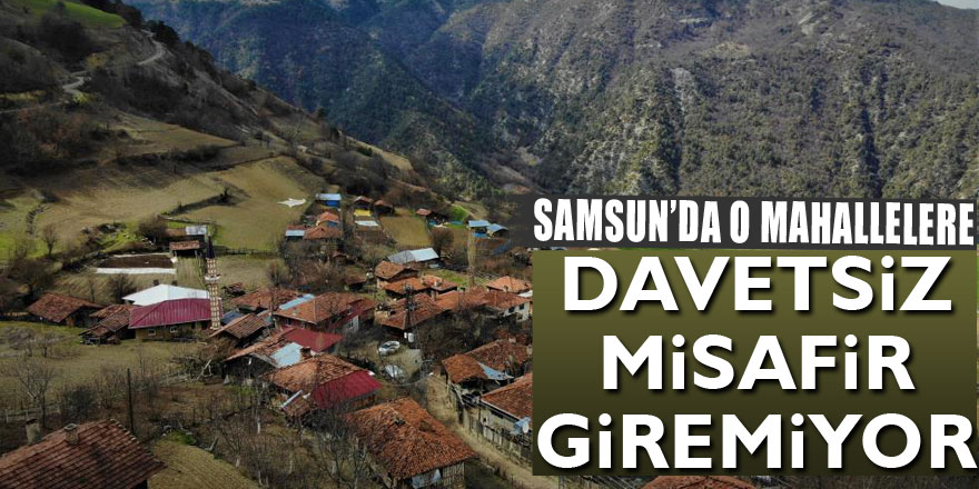 Türkiye korona birincisi Samsun'un vakasız mahalleri: Davetsiz misafir giremiyor