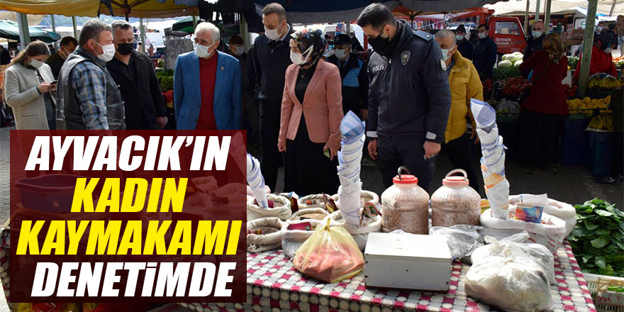 AYVACIK’IN KADIN KAYMAKAMI DENETİMDE