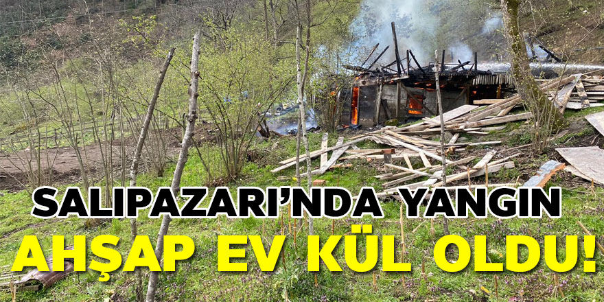 Ahşap ev yangında kül oldu