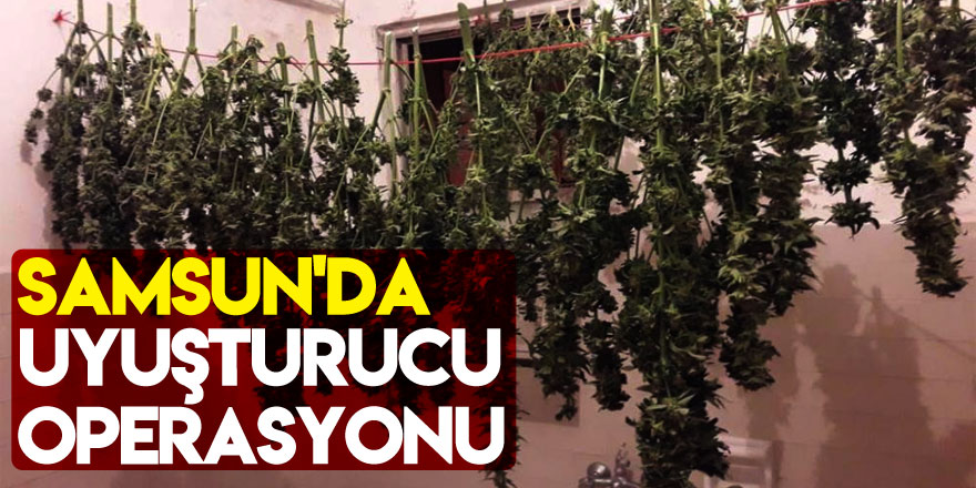Samsun'da uyuşturucu operasyonu: 19 gözaltı