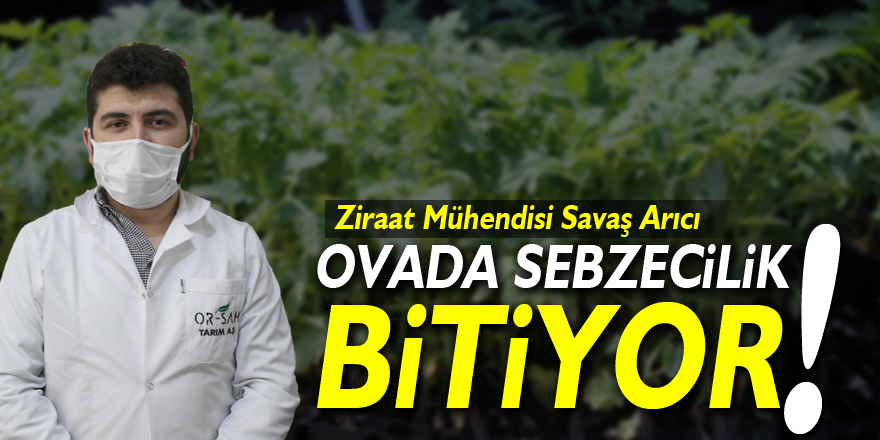 Ovada Sebzecilik bitiyor!