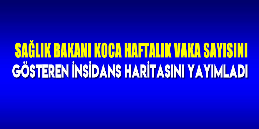 Sağlık Bakanı Koca haftalık vaka sayısını gösteren insidans haritasını yayımladı