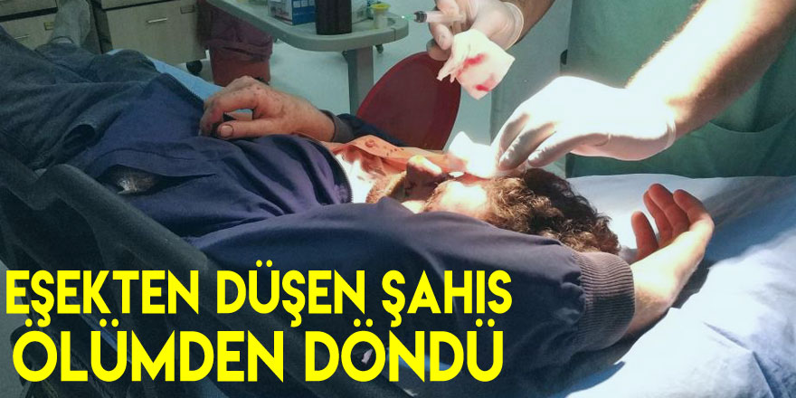 Eşekten düşen şahıs ölümden döndü