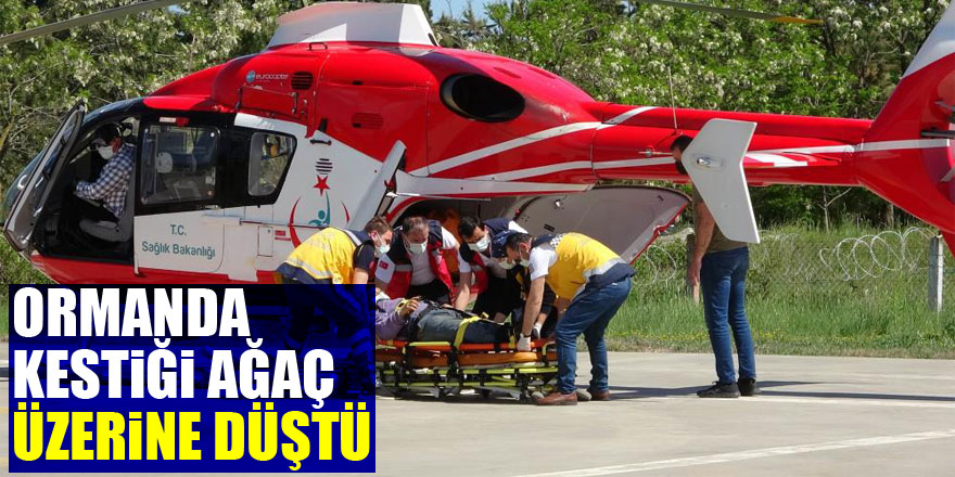 Ormanda kestiği ağaç üzerine düşen şahıs ambulans helikopterle hastaneye yetiştirildi