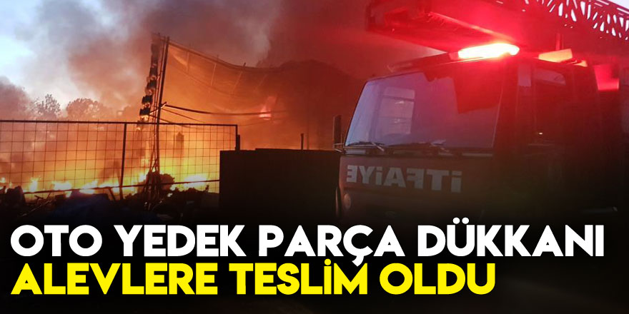 Oto yedek parça dükkanı alevlere teslim oldu