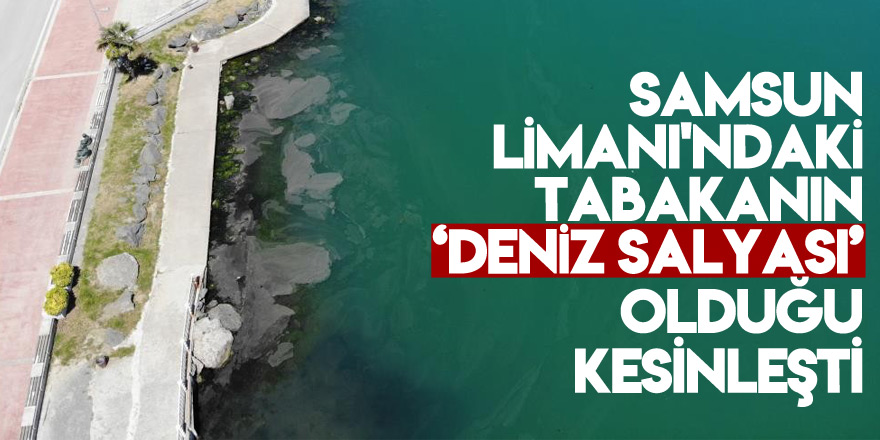 Samsun Limanı'ndaki tabakanın ‘deniz salyası’ olduğu kesinleşti