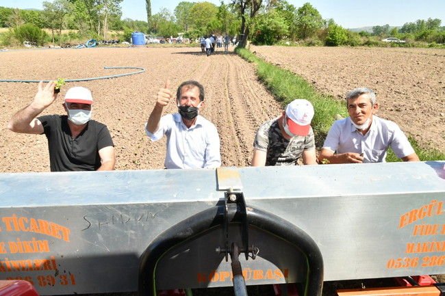 Üreticiye 225,5 bin tıbbi aromatik fide desteği