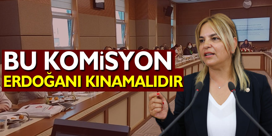 Bu komisyon, Erdoğanı kınamalıdır