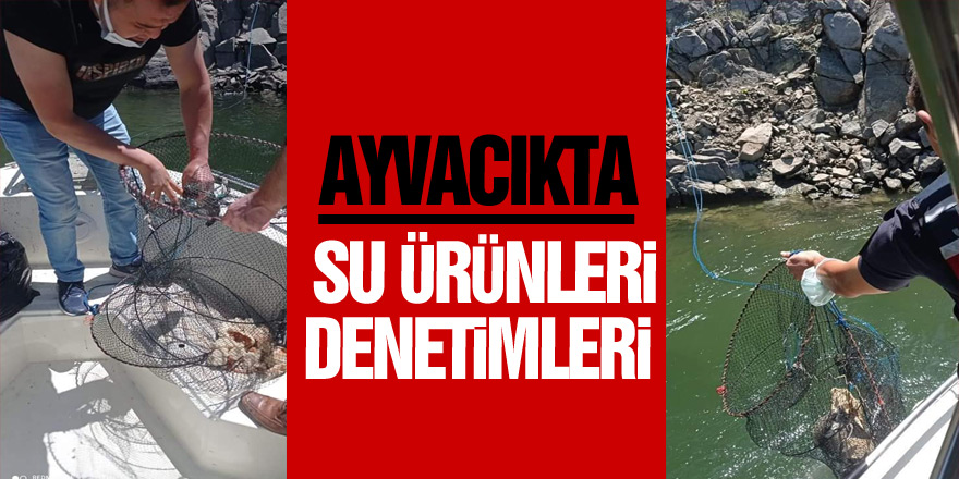 AYVACIKTA SU ÜRÜNLERİ DENETİMLERİ