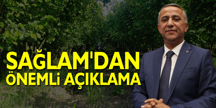 Sağlam'dan Önemli Açıklama