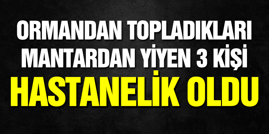 Ormandan topladıkları mantardan yiyen 3 kişi hastanelik oldu