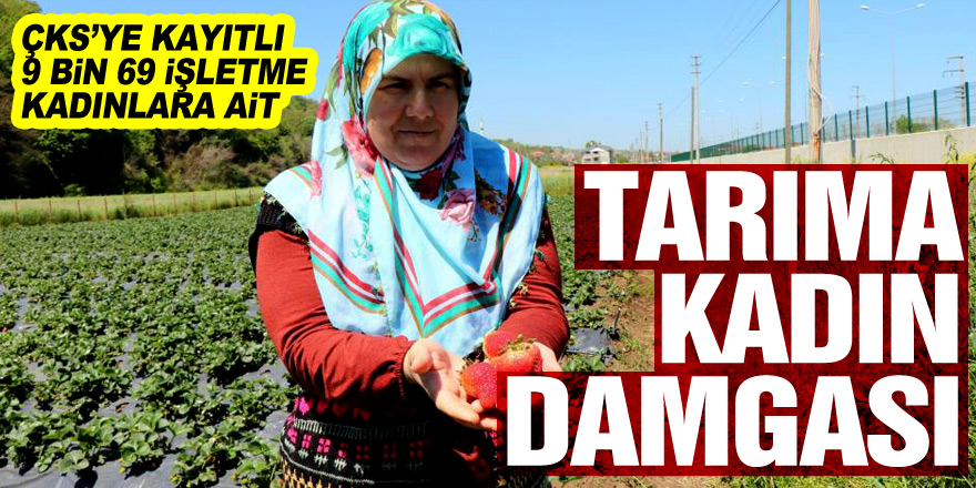 Samsun'da tarıma kadın damgası: ÇKS’ye kayıtlı 68 bin 507 işletmeden 9 bin 69’u kadınlara ait