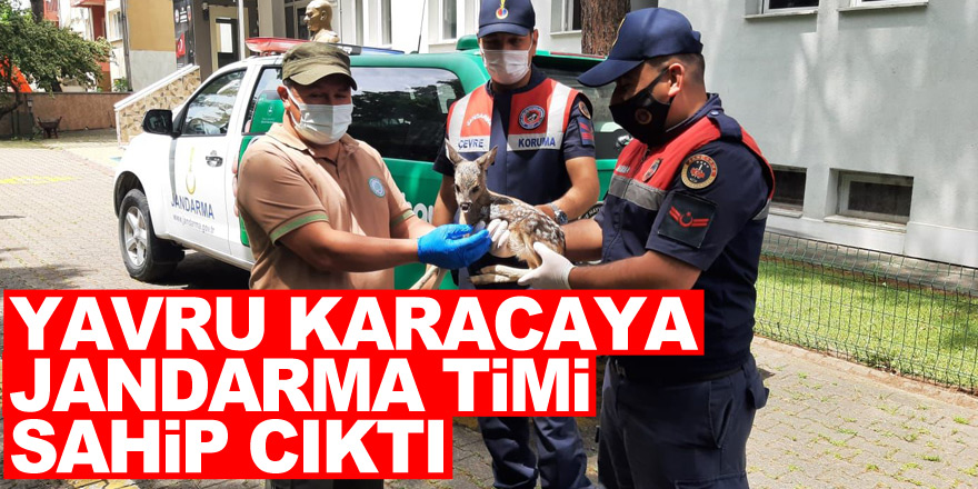 YAVRU KARACAYA JANDARMA TİMİ SAHİP ÇIKTI