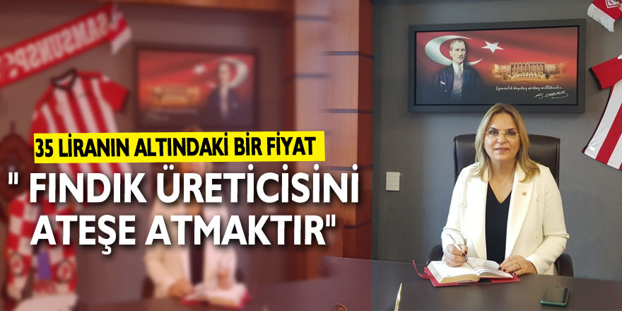 Hancıoğlu: "35 liranın altındaki bir fiyat, fındık üreticisini ateşe atmaktır"