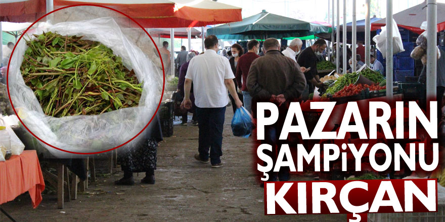 Pazarın Şampiyonu; Kırçan